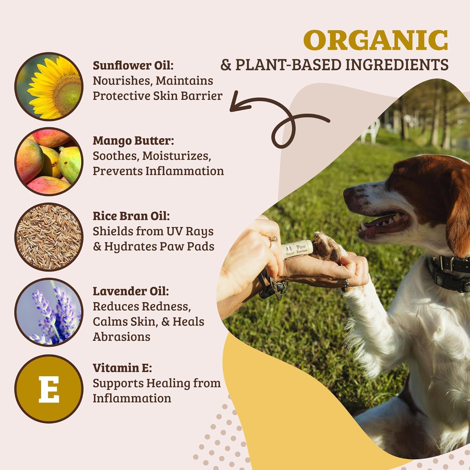 Dog Paw Protection Balm - Natural Wax, Shields Paws from Hot Pavement, Salt & Snow